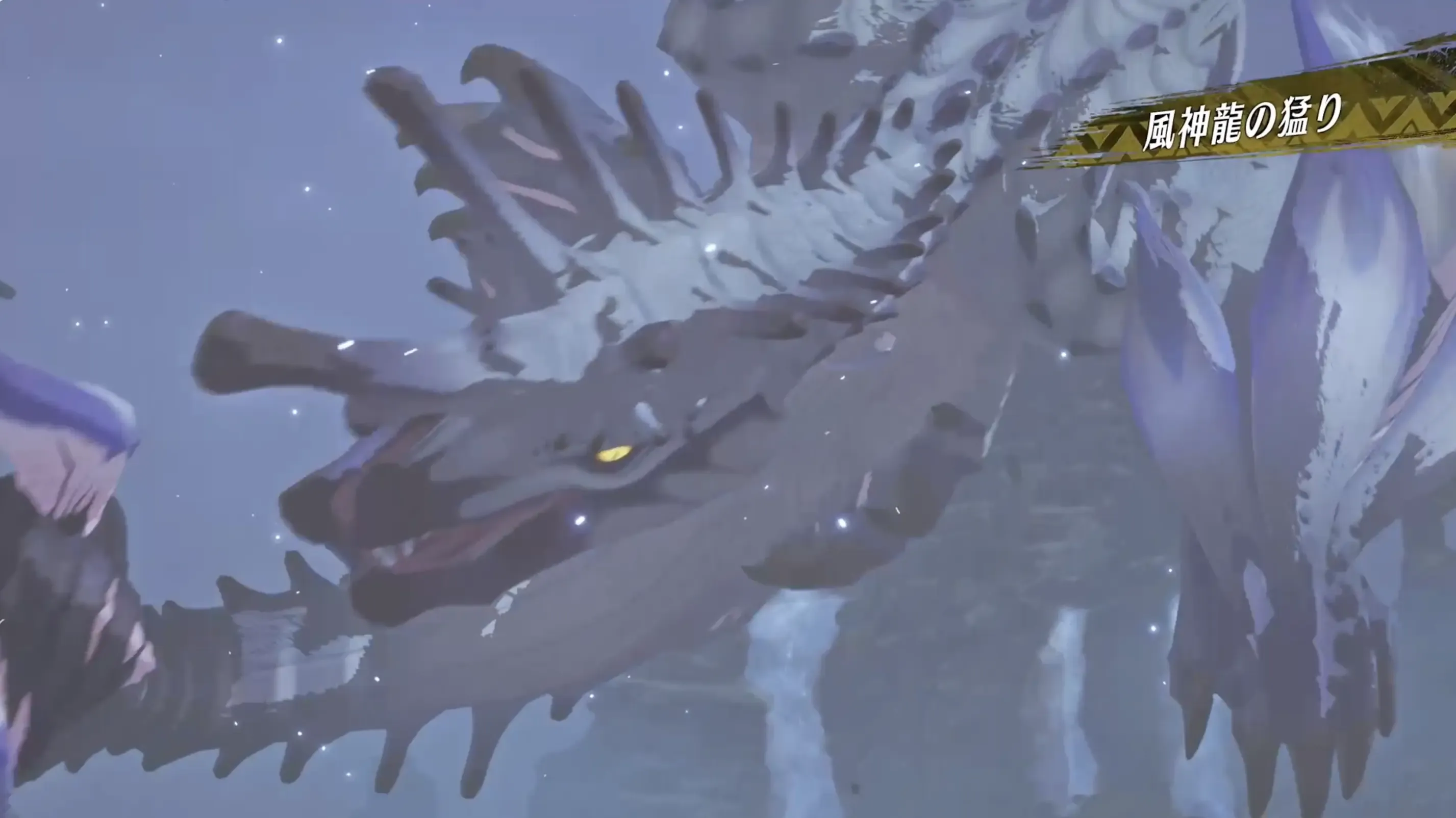 風神龍の猛り