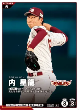 内 星龍画像