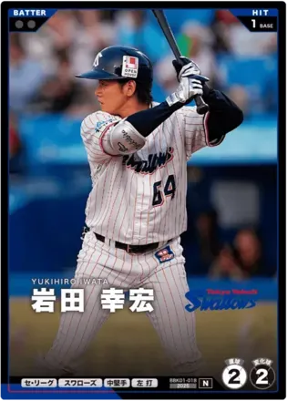 岩田 幸宏画像