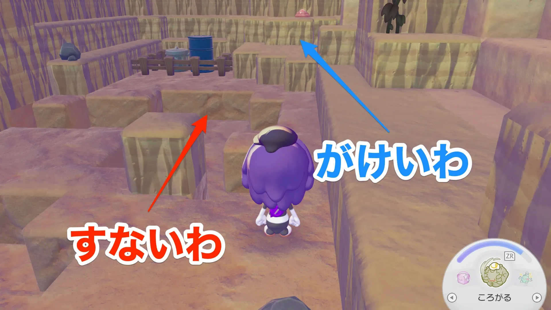 すないわの見た目