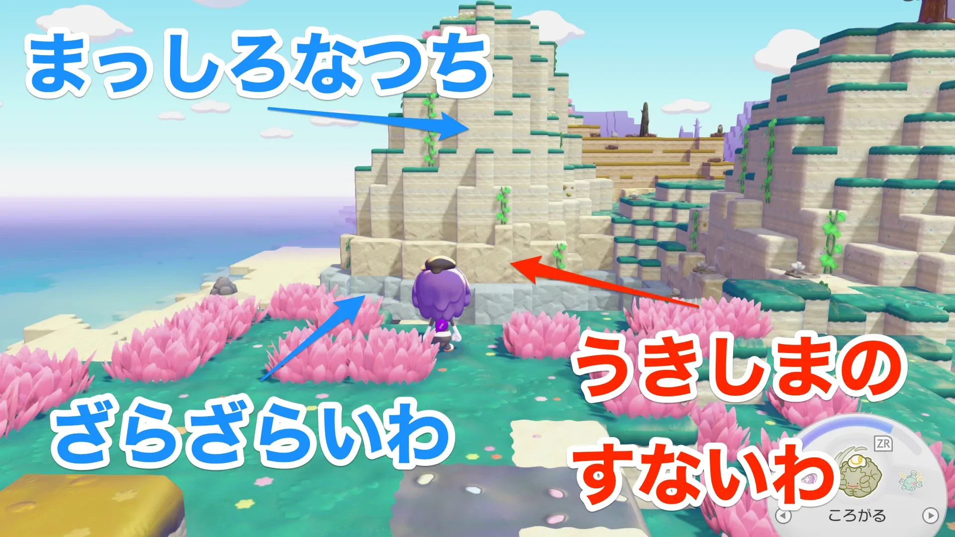 うきしまのすないわの見た目