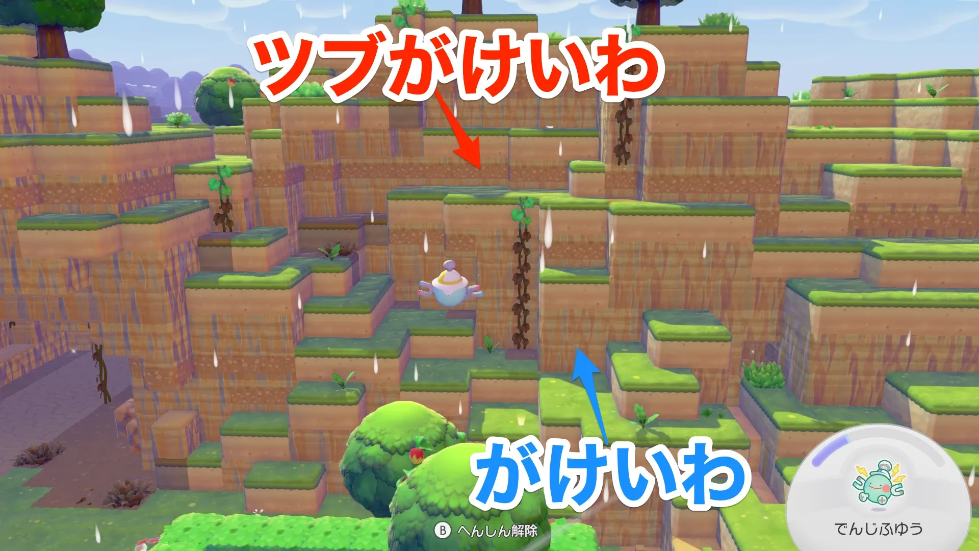 ツブがけいわの見た目