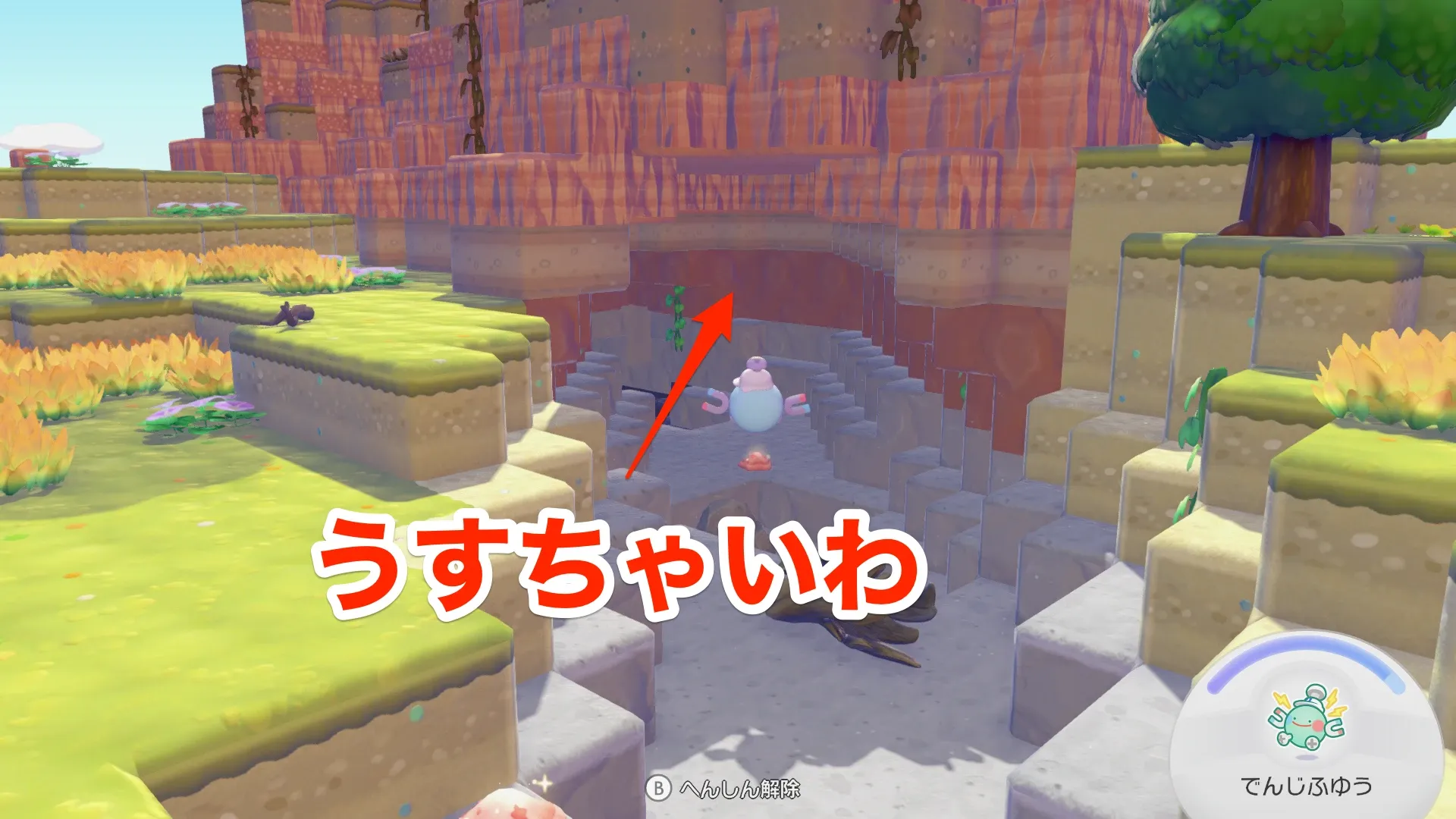 うすちゃいわの見た目