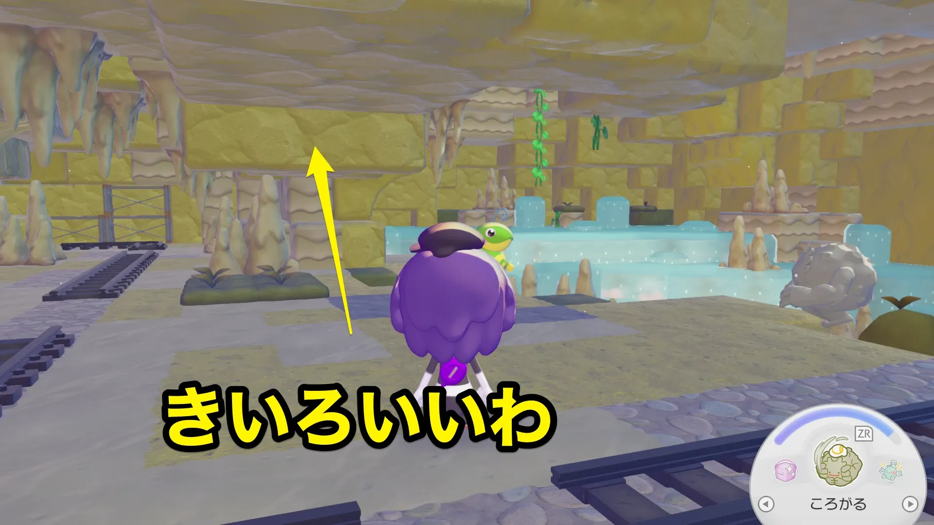 きいろいいわの見た目