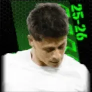 TPアルダギュレル(03/19)画像