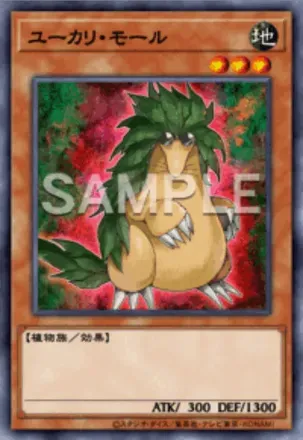 ユーカリ・モール画像