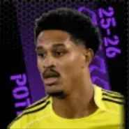 TPヤイデンオーステルヴォルデ(03/19)画像