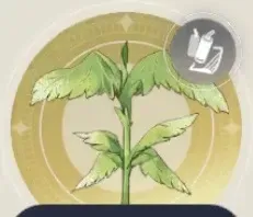 ウイングプラントの画像