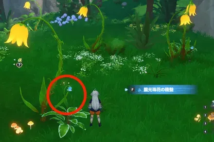 朧光珠花の精髄