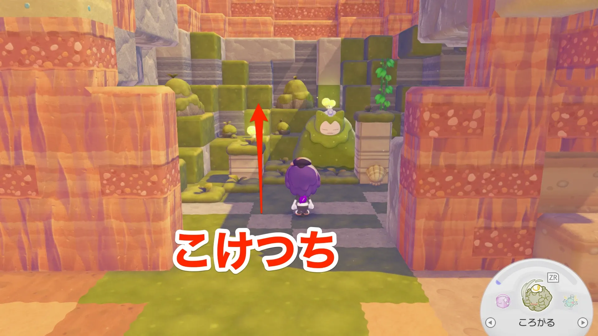 コケつちの見た目