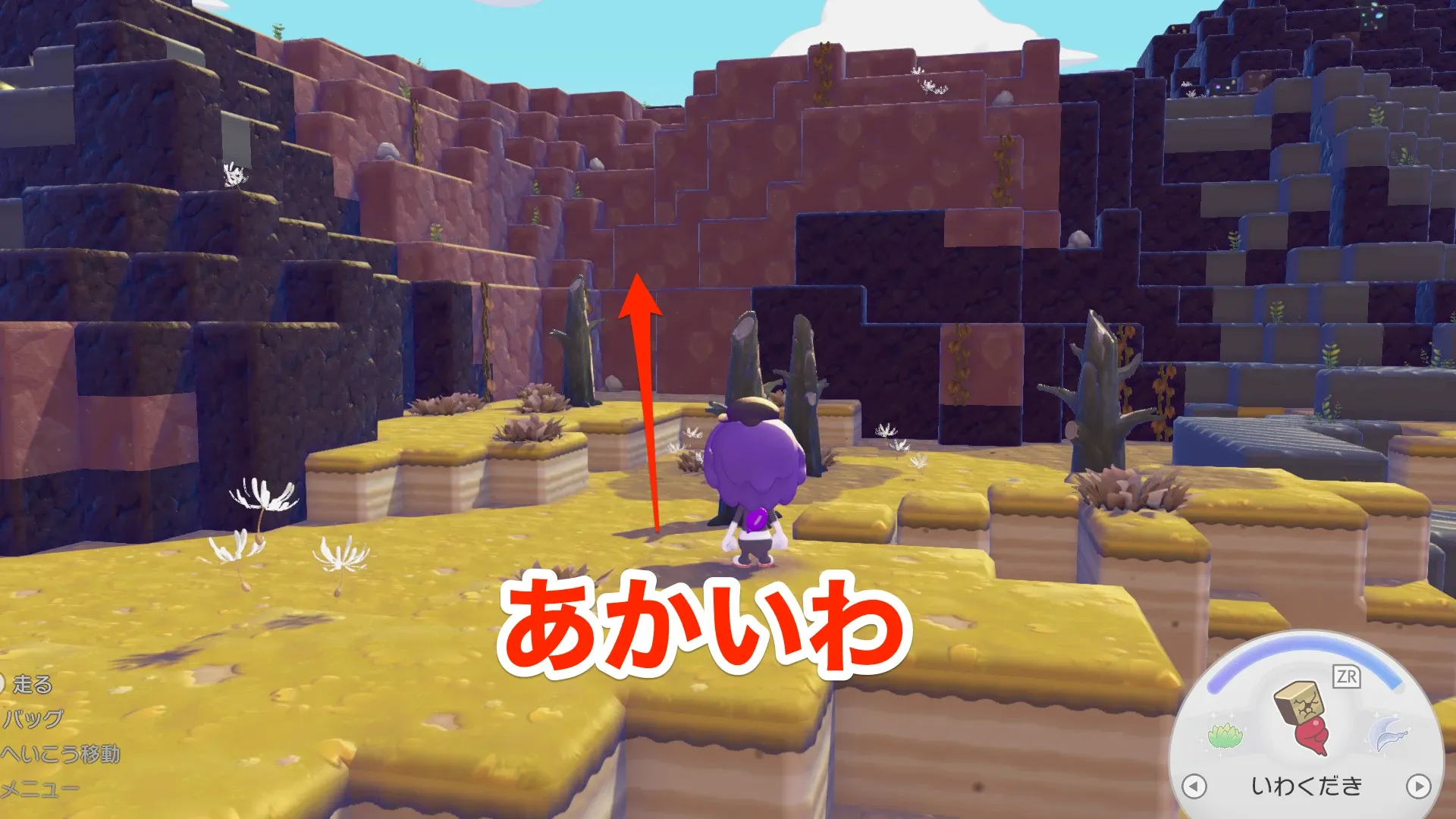 あかいわの見た目