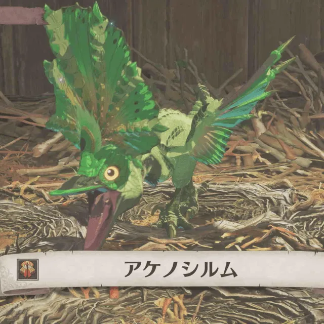 双属性アケノシルム