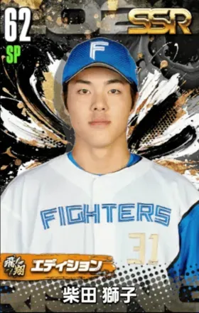 柴田獅子（飛翔）の画像