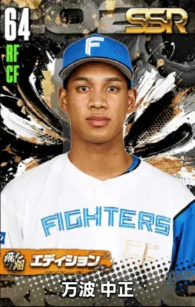 万波 中正（飛翔）の画像