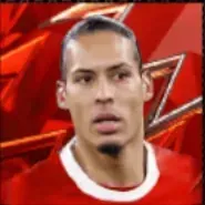 HPフィルジル・ファン・ダイク(03/23)の画像