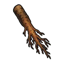 タンポポの根画像