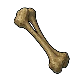 オオカミの骨片画像