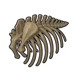 バイソンの骨片画像