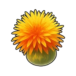 ベニバナの種画像