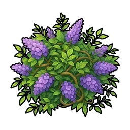 クズカズラ画像