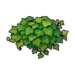 ツタカズラ画像