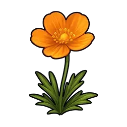 ビッグモスの小さな花画像