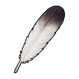 カモメの羽根画像