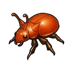 大王コガネムシ画像