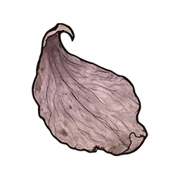 枯れた花びら画像