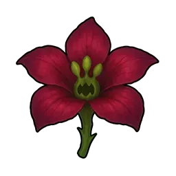 スクリーマーの花画像