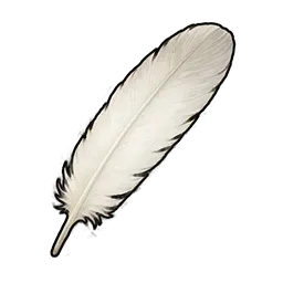 ニワトリの羽根画像