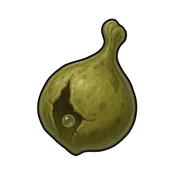 破れた歌袋画像