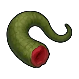 傷だらけの尻尾画像