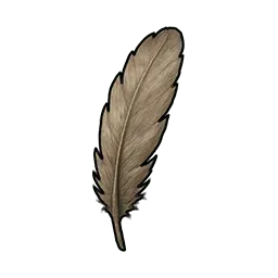 傷んだ羽根画像