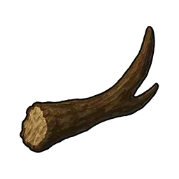 折れた鹿の角画像