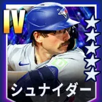 シュナイダー画像