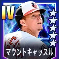 マウントキャッスル画像