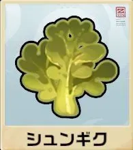 シュンギク
