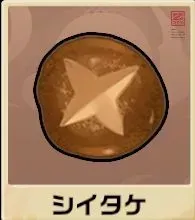 シイタケ