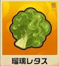 瑠璃レタス