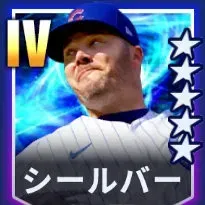 シールバー画像