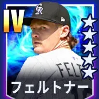 フェルトナー画像