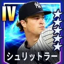 シュリットラー画像