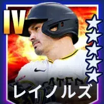 レイノルズ画像