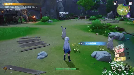 フィールド採集