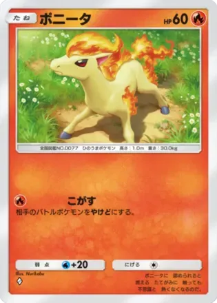 ポニータ（B2b-010/69）