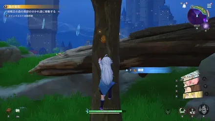 フィールド採集