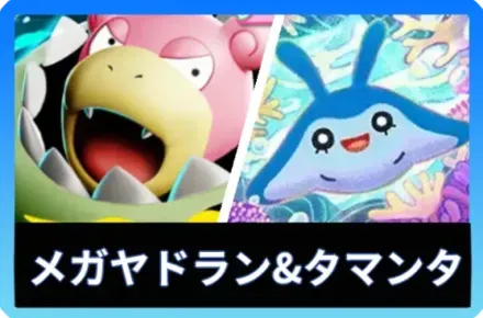 メガヤドランex＆タマンタデッキ