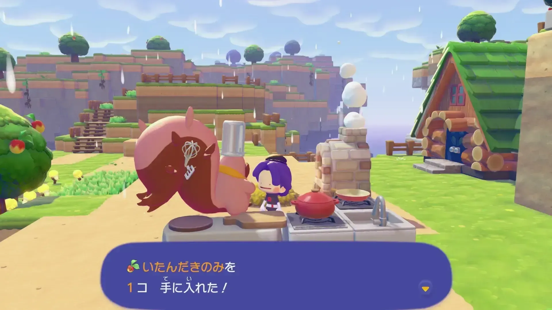 いたんだきのみの入手方法