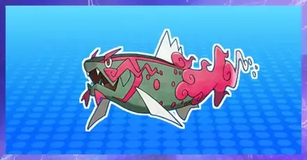 イダイトウ（オス）の育成論